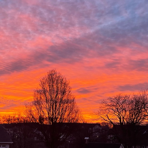 Meet your Posher, Casey - Picture 1 of 1